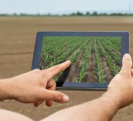 275x250- Precision Agriculture and Yield Prediction